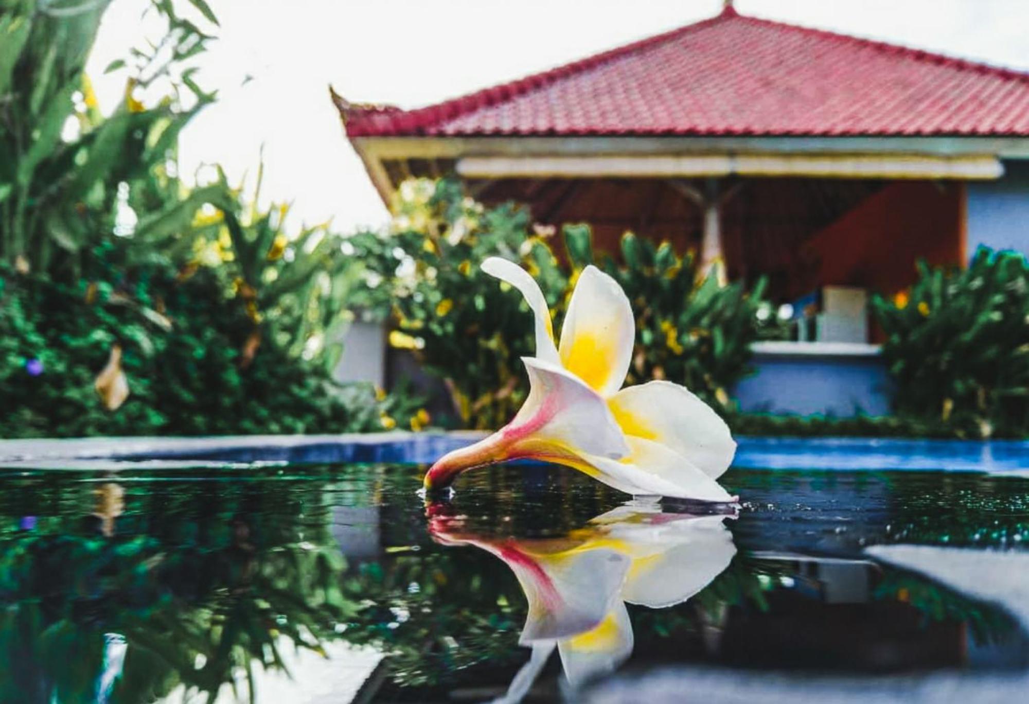 Hokita Home Stay Lembongan Esterno foto